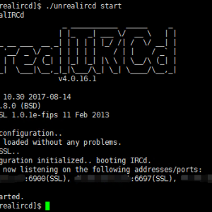 IRC服务器搭建