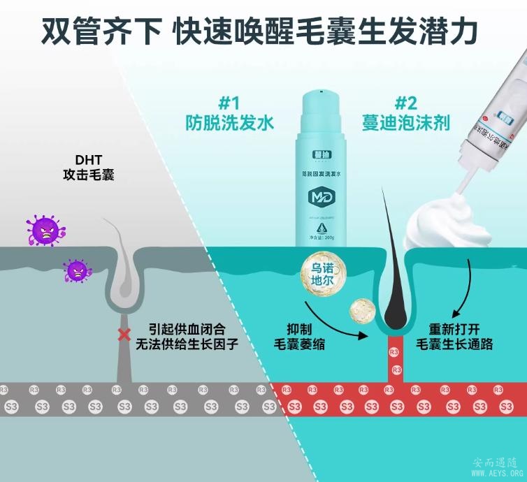 图片12.jpg