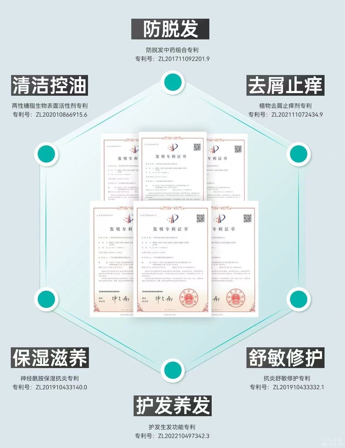 图片6.jpg