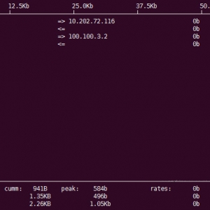 Linux VPS主机利用iftop命令工具实时流量监控应用