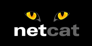 Powershell版netcat简介