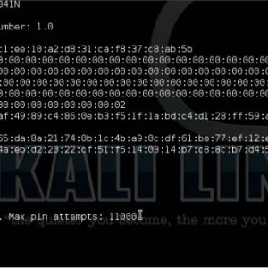 Kali Linux中前十名的Wifi攻击工具