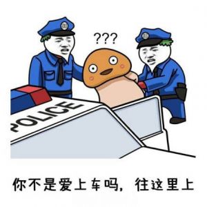 你不是爱上车吗，往这里上